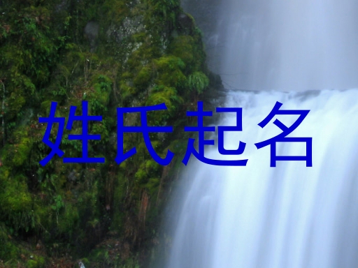 姓氏起名