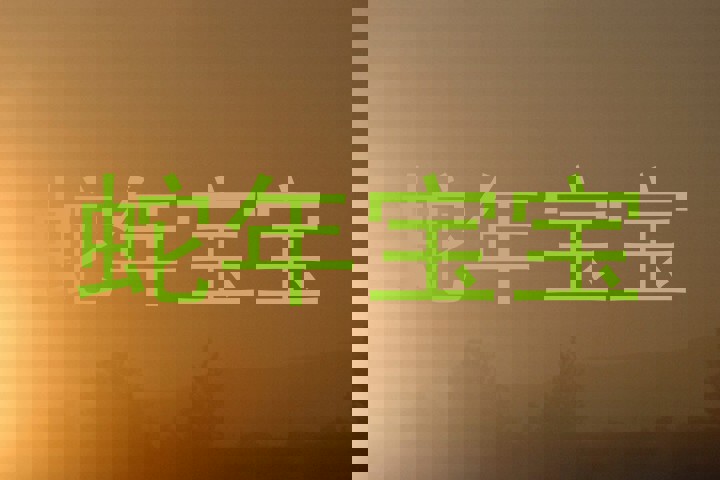 蛇年宝宝