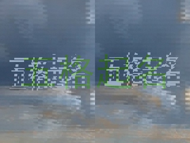 五格起名