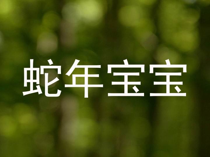 蛇年宝宝