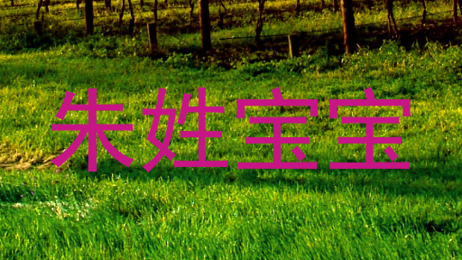 朱姓宝宝