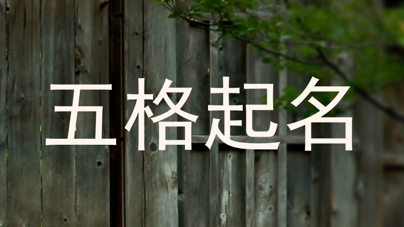 五格起名