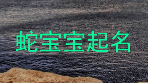 蛇宝宝起名