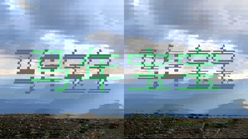 马年宝宝