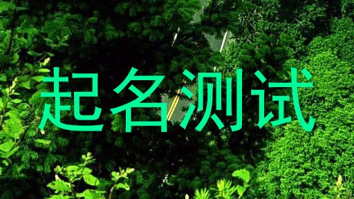起名测试