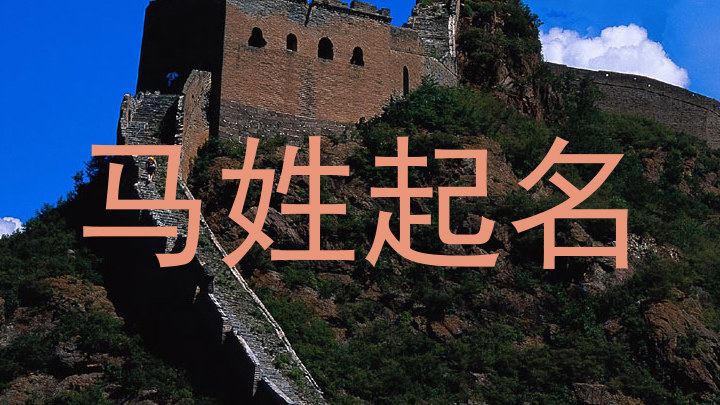 马姓起名