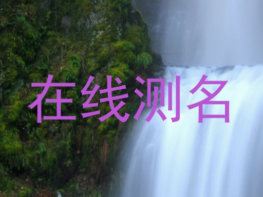 在线测名