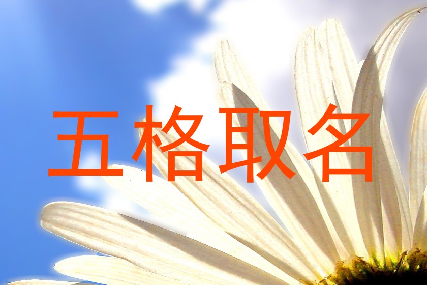 五格取名
