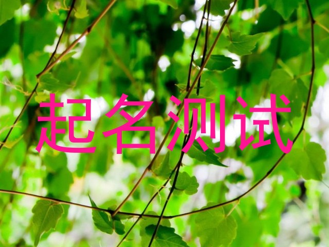 起名测试