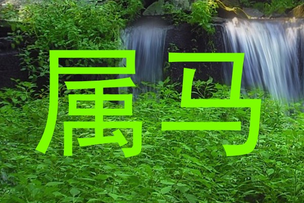 属马