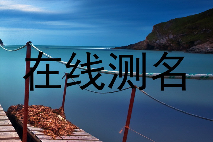 在线测名