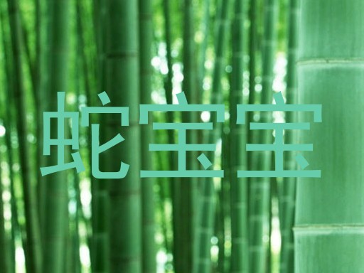 蛇宝宝