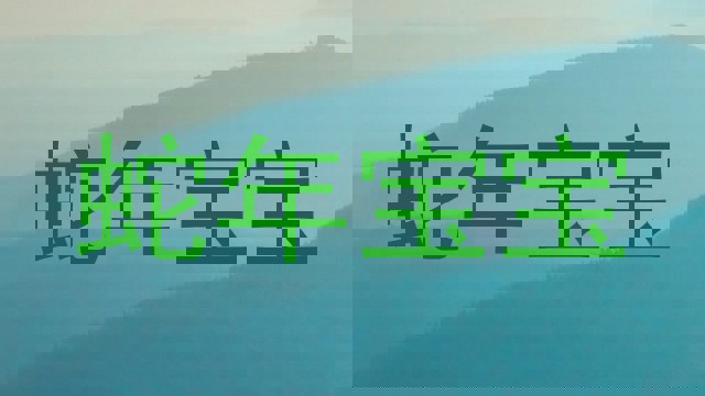 蛇年宝宝
