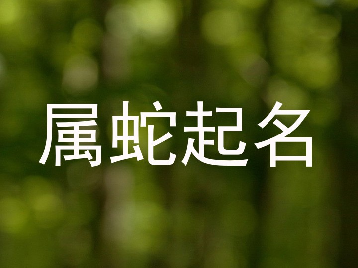 属蛇起名