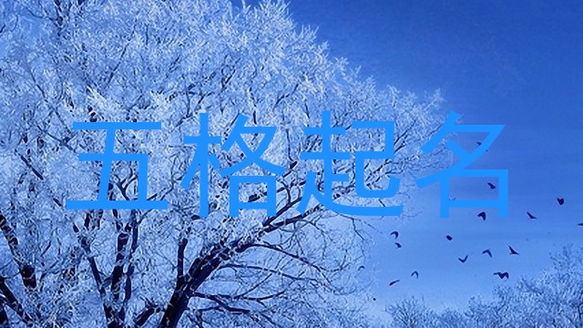 五格起名