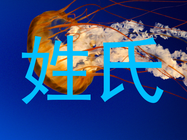 姓氏