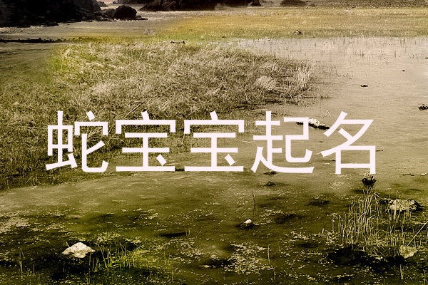 蛇宝宝起名