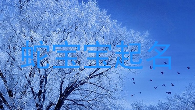 蛇宝宝起名