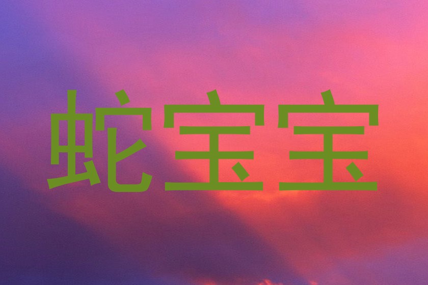蛇宝宝