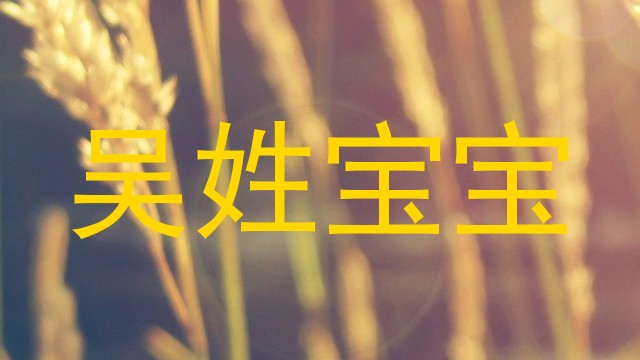 吴姓宝宝