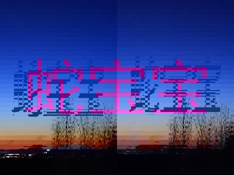 蛇宝宝
