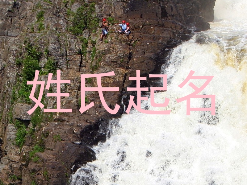 姓氏起名