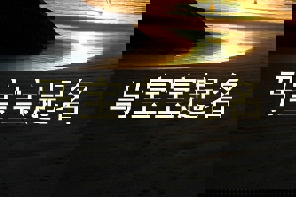 马宝宝起名