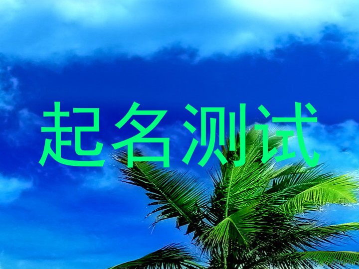 起名测试
