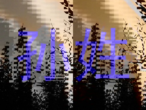 孙姓