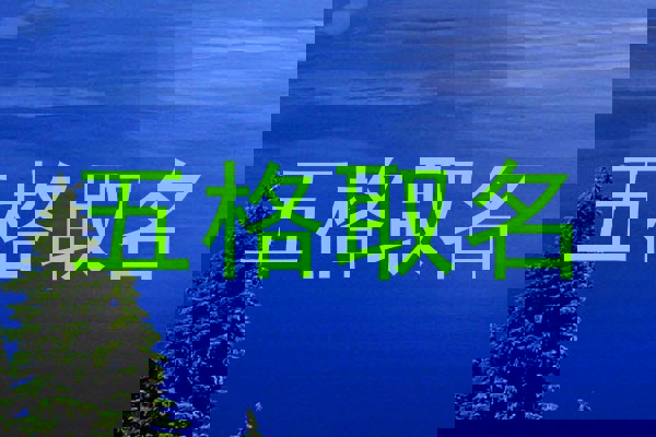 五格取名