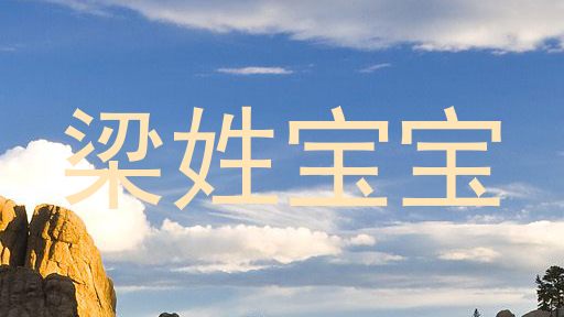 梁姓宝宝