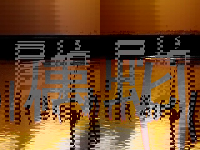 属蛇