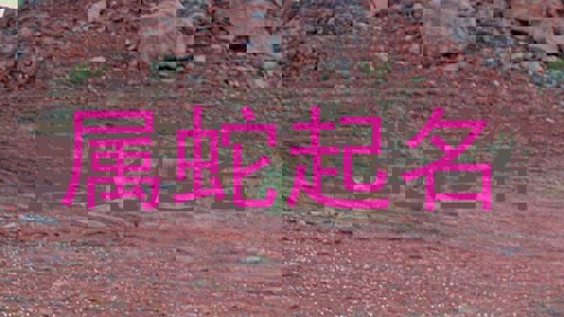 属蛇起名