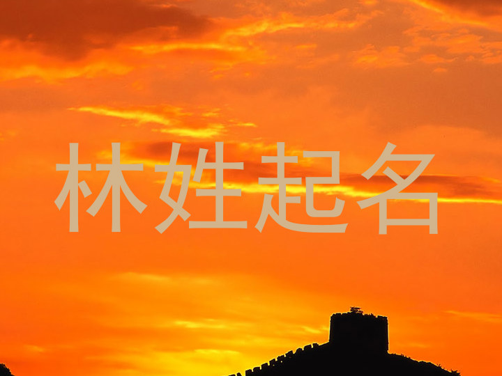 林姓起名