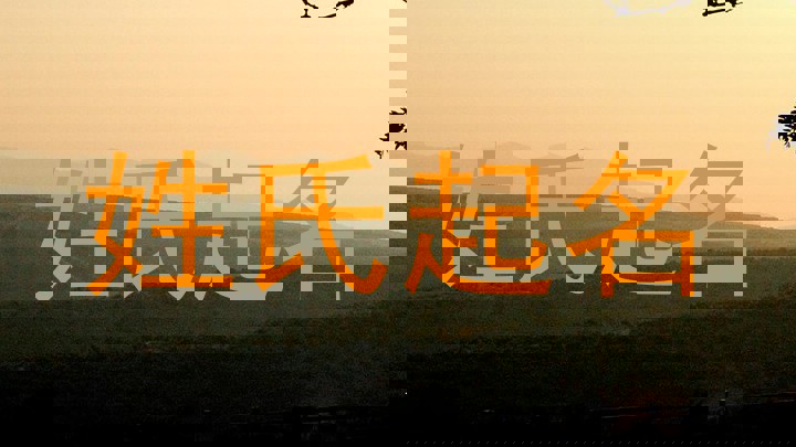 姓氏起名