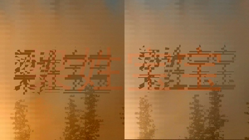 梁姓宝宝