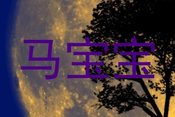 马宝宝