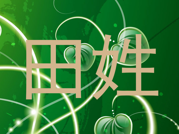 田姓