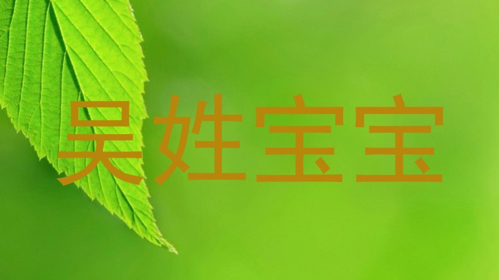 吴姓宝宝