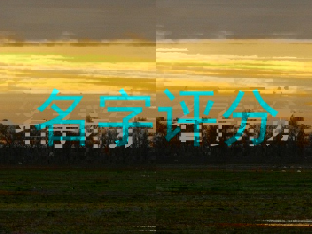 名字评分