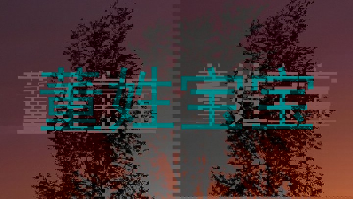 董姓宝宝