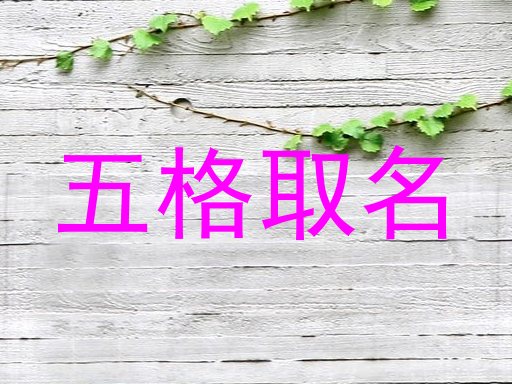 五格取名