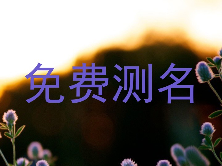 免费测名