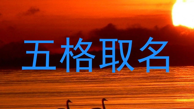 五格取名