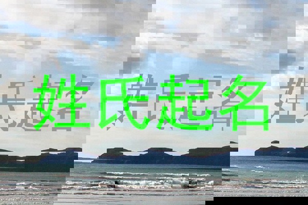 姓氏起名