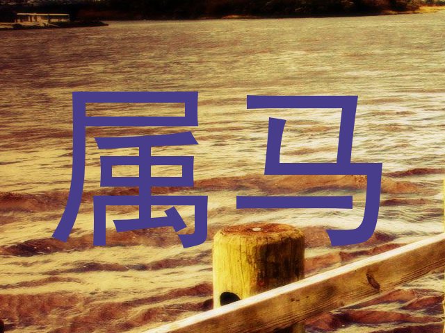 属马