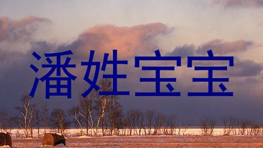 潘姓宝宝