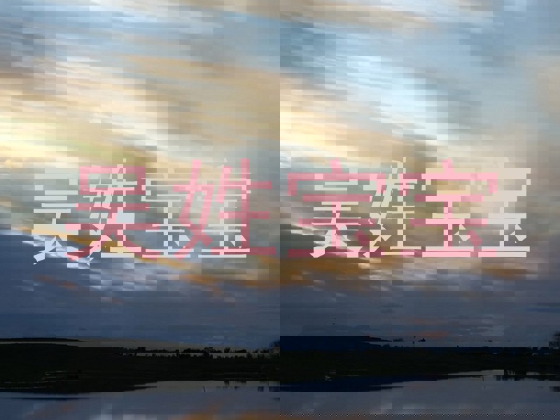 吴姓宝宝