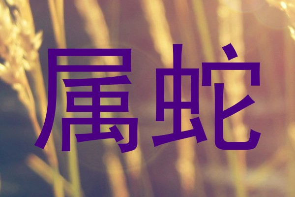 属蛇