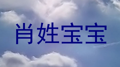 肖姓宝宝